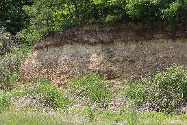 裏山を形成する礫層　